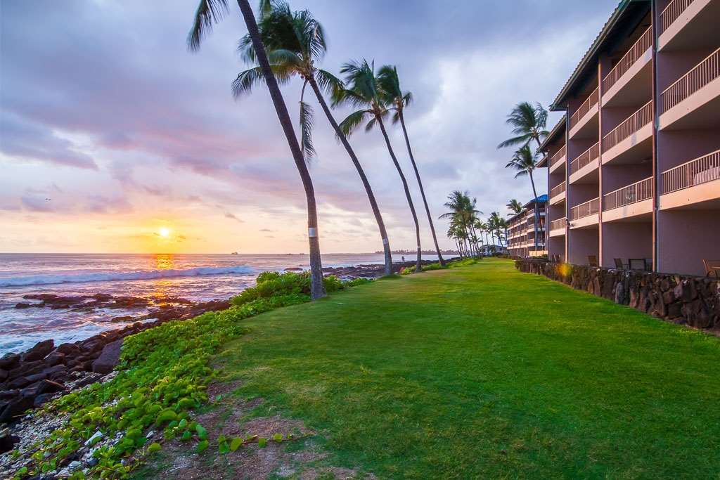 Отель Kona Reef Каилуа-Кона Природа фото