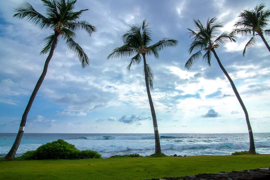Отель Kona Reef Каилуа-Кона Номер фото